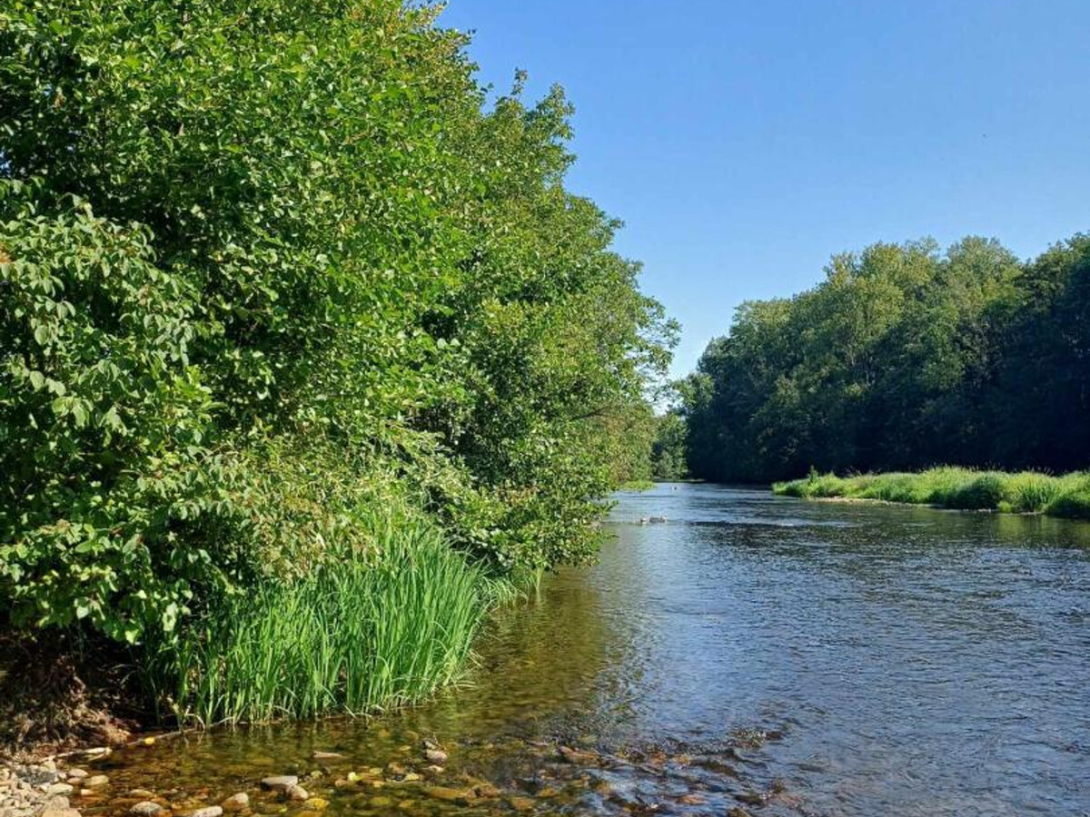 Gîte 2 pers. à proximité de la rivière à Jenzat - Photo 19