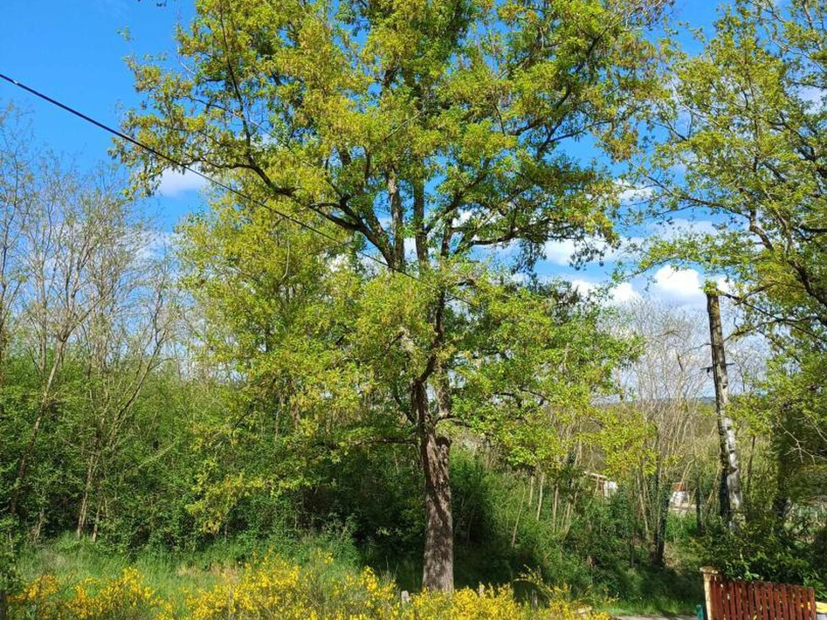 Gîte 2 pers. à proximité de la rivière à Jenzat - Photo 20