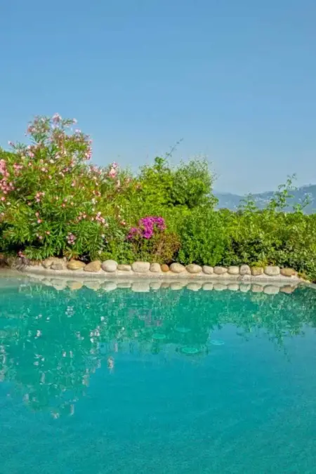 Maison à Olmeto avec piscine partagée et vue mer : photo 13