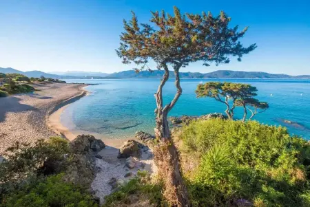 Maison avec piscine partagée et vue mer à Olmeto, 4 pers. : photo 27