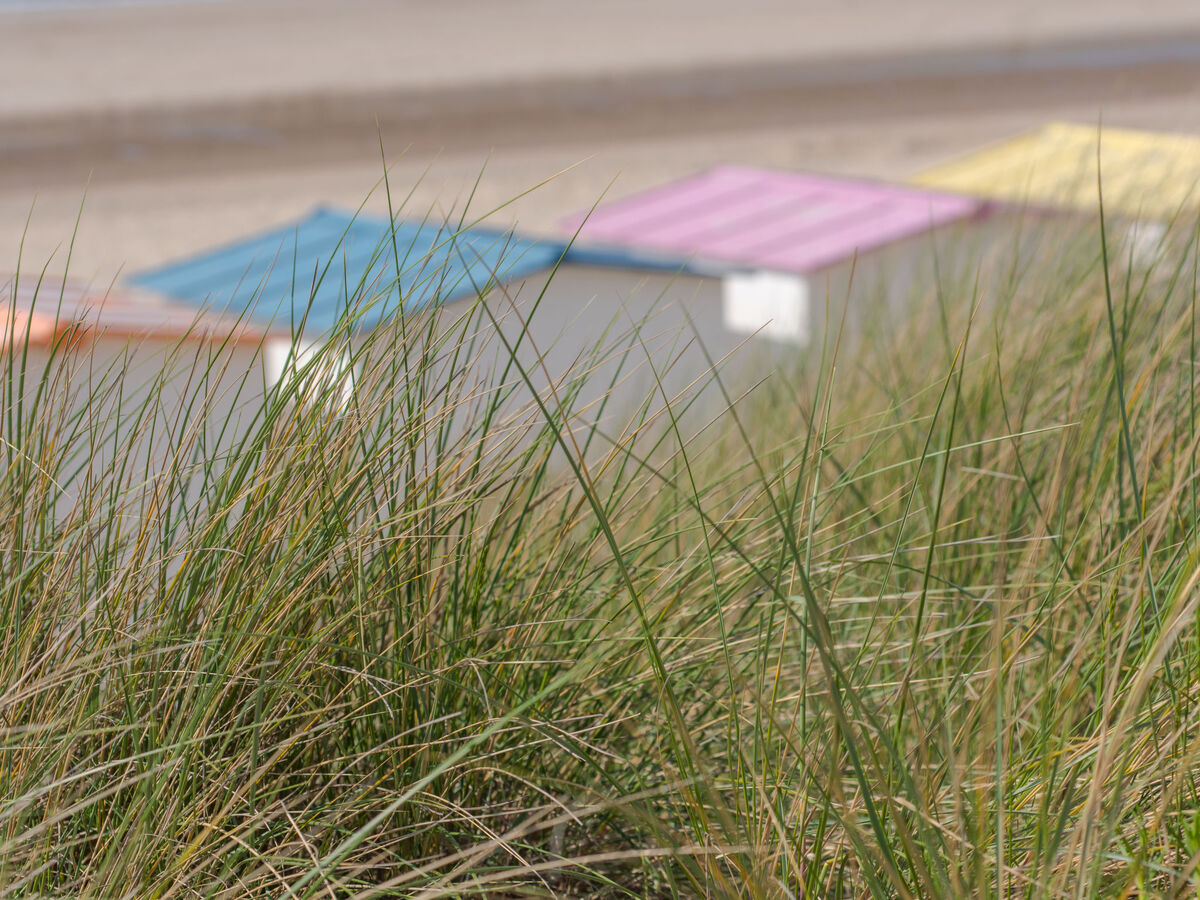 Geluid van de zee, maison 4 personnes à 500 m de la plage - Photo 18