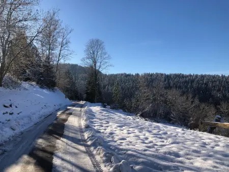 Évasion montagne à Gérardmer avec terrasse et parking - Photo 34