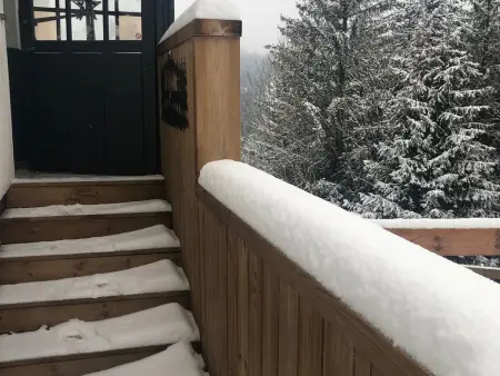 Évasion montagne à Gérardmer avec terrasse et parking - Photo 35