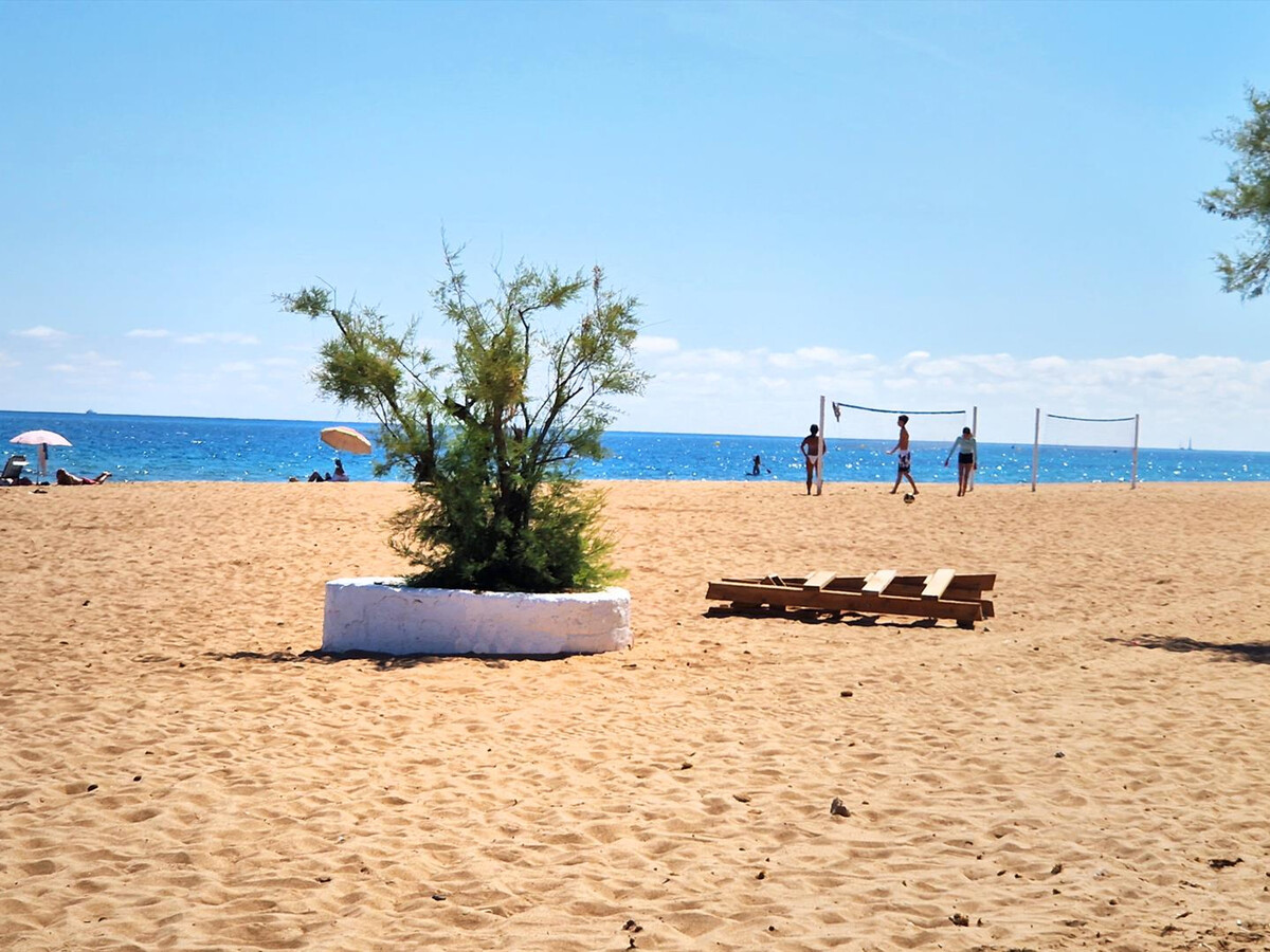 La Gallega : Maison 6 pers. à Denia, piscine et plage à 200m - Photo 4