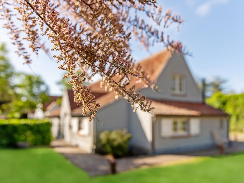 Maison Amber : 10 pers., jardin & terrasse à Nieuwpoort - Photo 54