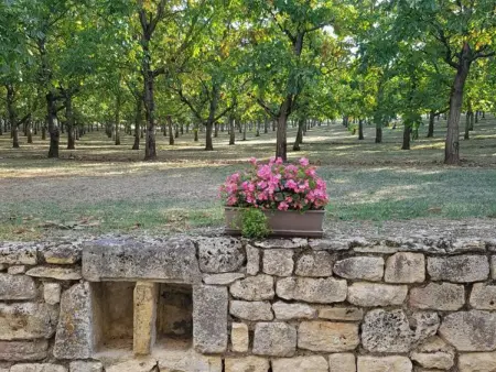 Gîte 7 pers. avec noyeraie et terrasse à Jayac : photo 27