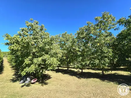 Gîte 7 pers. avec noyeraie et terrasse à Jayac : photo 32