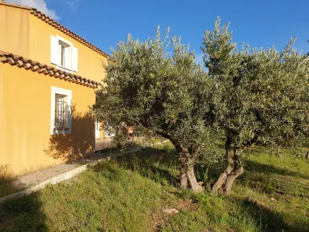 Maison 6 pers. dans les oliviers à 500 m d'Aups : photo 10