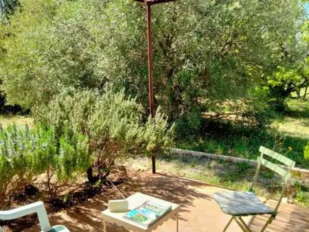 Maison 6 pers. dans les oliviers à 500 m d'Aups : photo 14