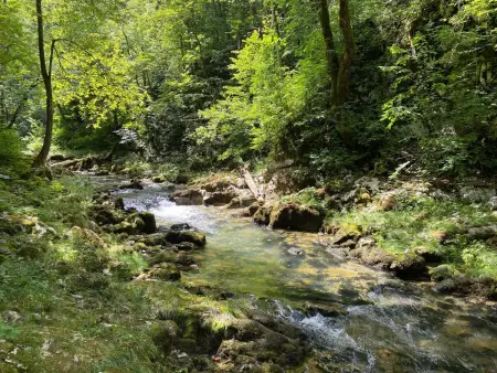 Maison Hariata à Vrbovsko, 3 étages, 10 pers. : photo 56