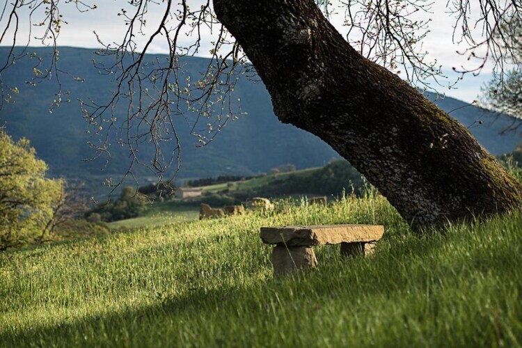 Villa Paradiso 25 – Assisi, 15 chambres piscine - Photo 31