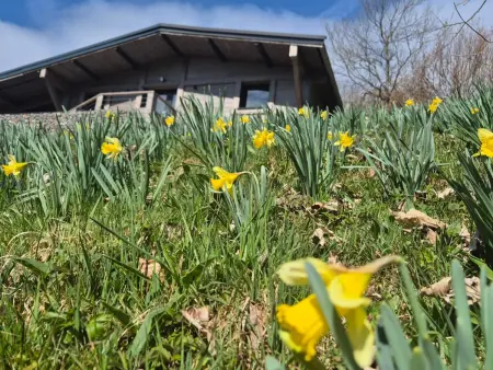 Location gite à Sapois, Chalet rénové avec sauna, proche Gérardmer