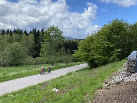Chalet rénové avec sauna, proche Gérardmer, Gite 4 personnes à Sapois - Photo 14