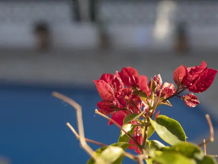 Villa classique avec piscine privée, jardin et climatisation à Benissa : photo 7