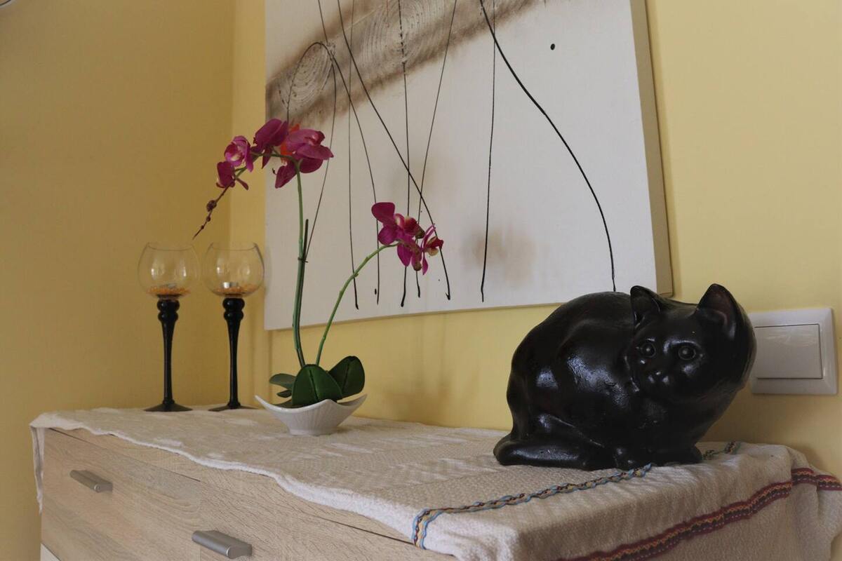 Appartement Ponta do Sol, piscine privée année - Photo 25