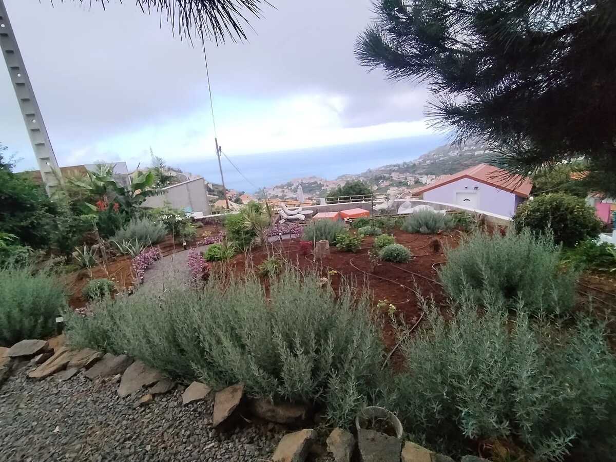 Appartement Ponta do Sol, piscine privée année - Photo 65