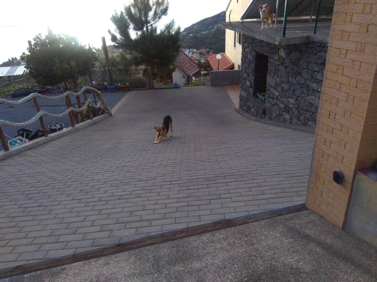 Appartement Ponta do Sol, piscine privée année - Photo 110