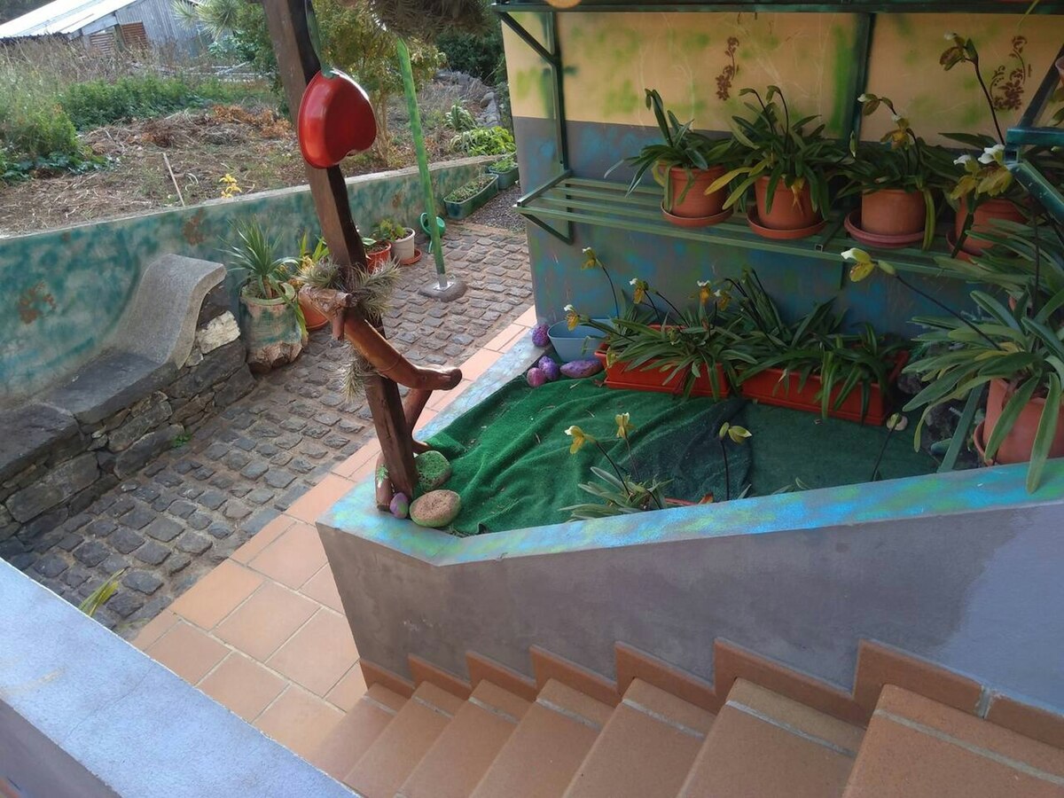 Appartement Ponta do Sol, piscine privée année - Photo 116