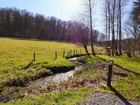 La Linotte : chalet en bois au bord de rivière à Arville, Belgique : photo 32
