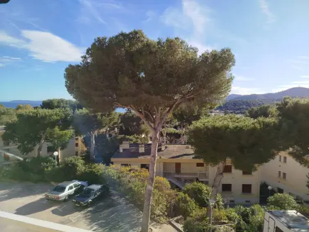 Location appartement à Bormes les Mimosas, Appartement T2 à Bormes-les-Mimosas avec piscine et 5 couchages