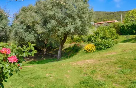 Villa avec piscine privée et vue mer à Coti-Chiavari, 4 chambres : photo 8