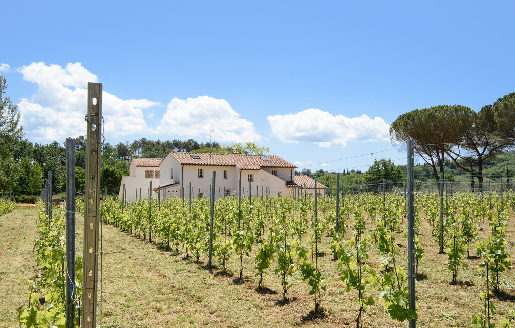 Maison 12 personnes à Massa e Cozzile - Photo 9