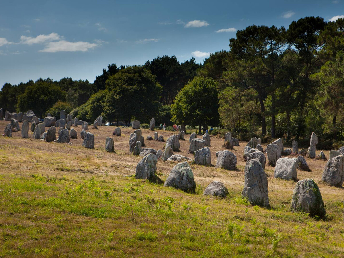 Maison 4 pièces Carnac, jardin clos et animaux admis - Photo 15