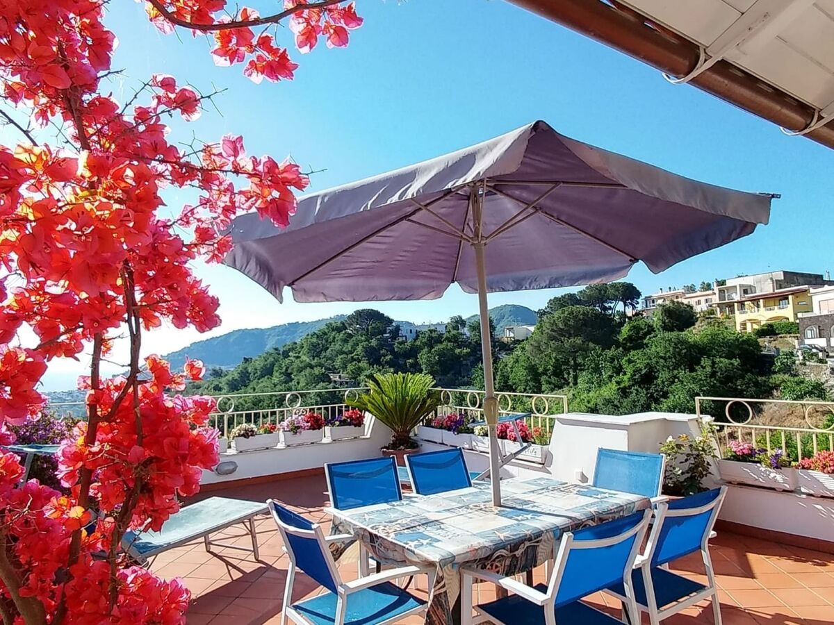 La Favola - Appartement 9 pers. à Ischia, terrasse vue mer - Photo 6