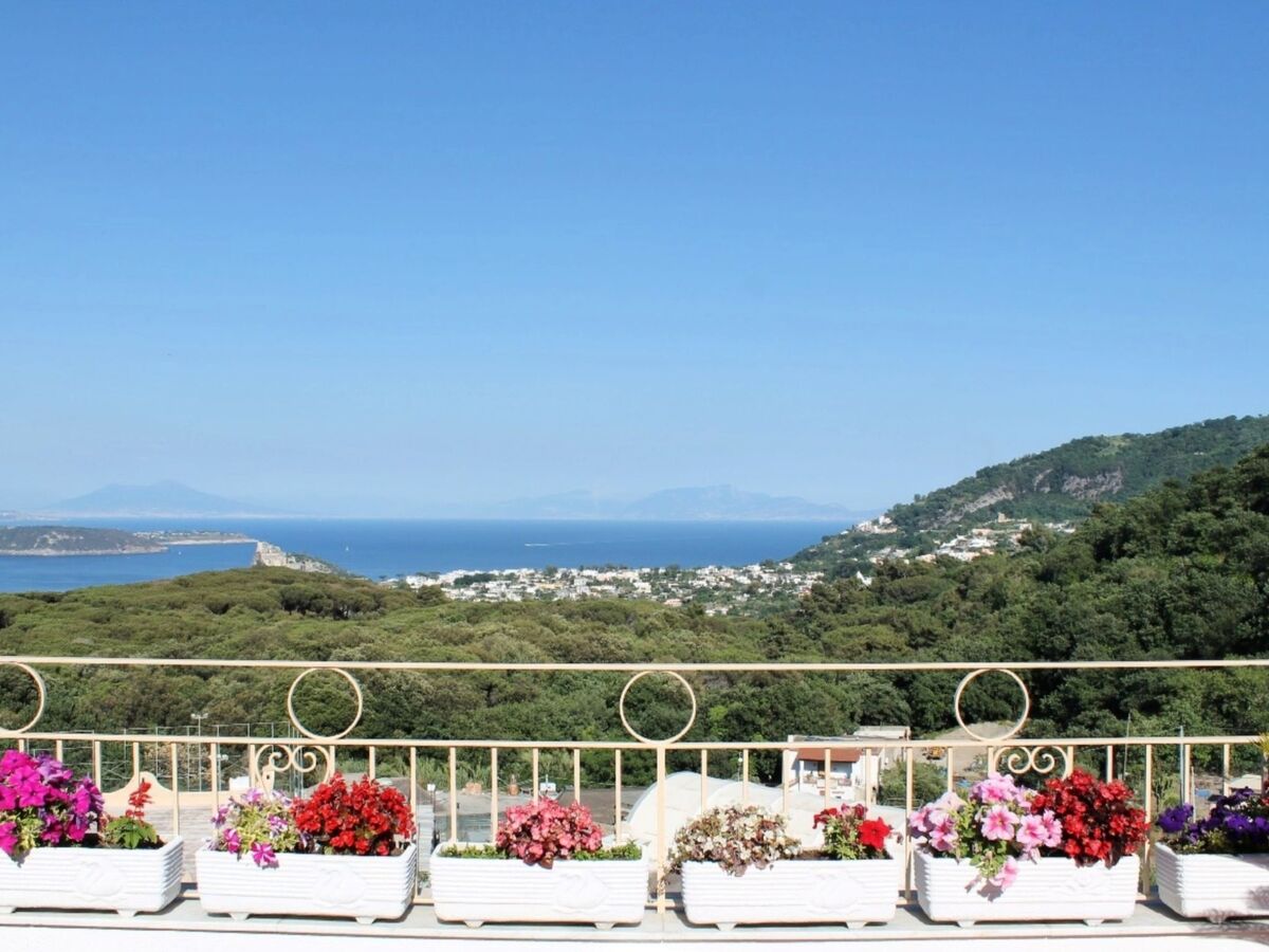 La Favola : Appartement 2 chambres à Ischia - Photo 2
