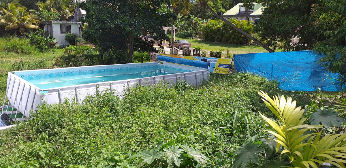 Bungalow 3 pers. au Moule avec piscine et jardin - Photo 12