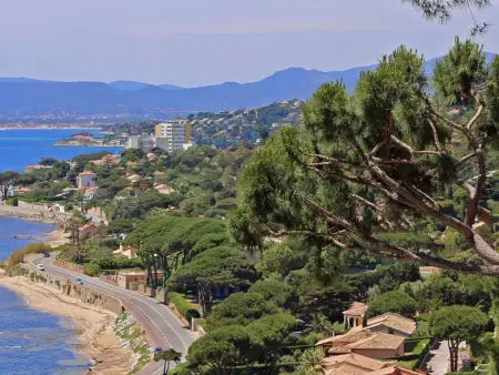 Studio rénové avec parking privatif à Sainte-Maxime : photo 24
