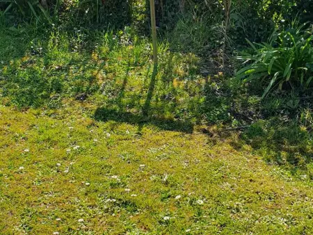 Appartement 1er étage, jardin clos et parking à Le Palais : photo 14
