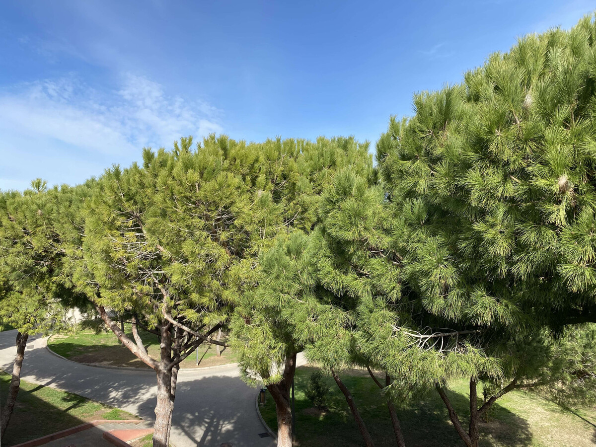 T2 traversant avec loggia et garage à Balaruc-les-Bains - Photo 12