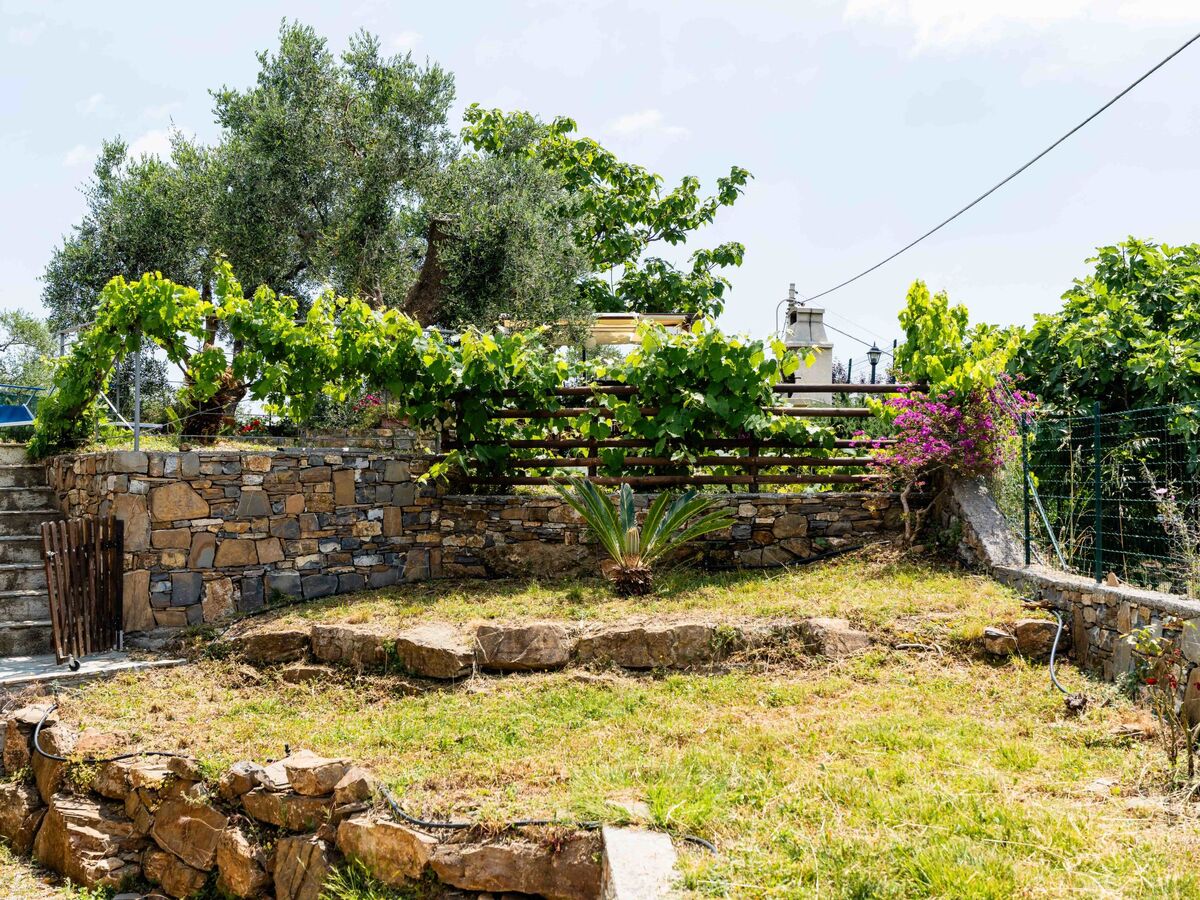 Olive Lodge – Villa 10 pers., 5 ch., piscine à Civezza - Photo 40