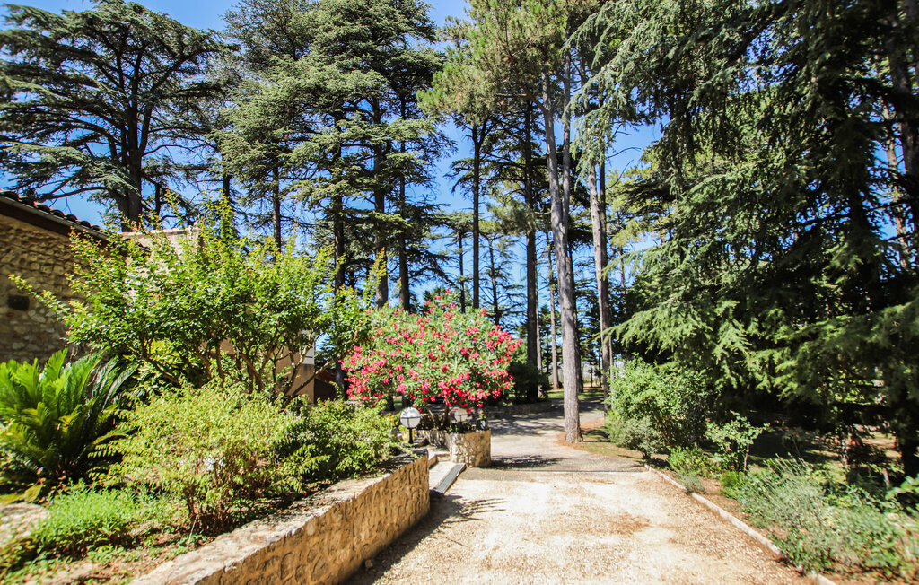 Bastide provençale 12 pers., piscine chauffée et jacuzzi - Photo 14