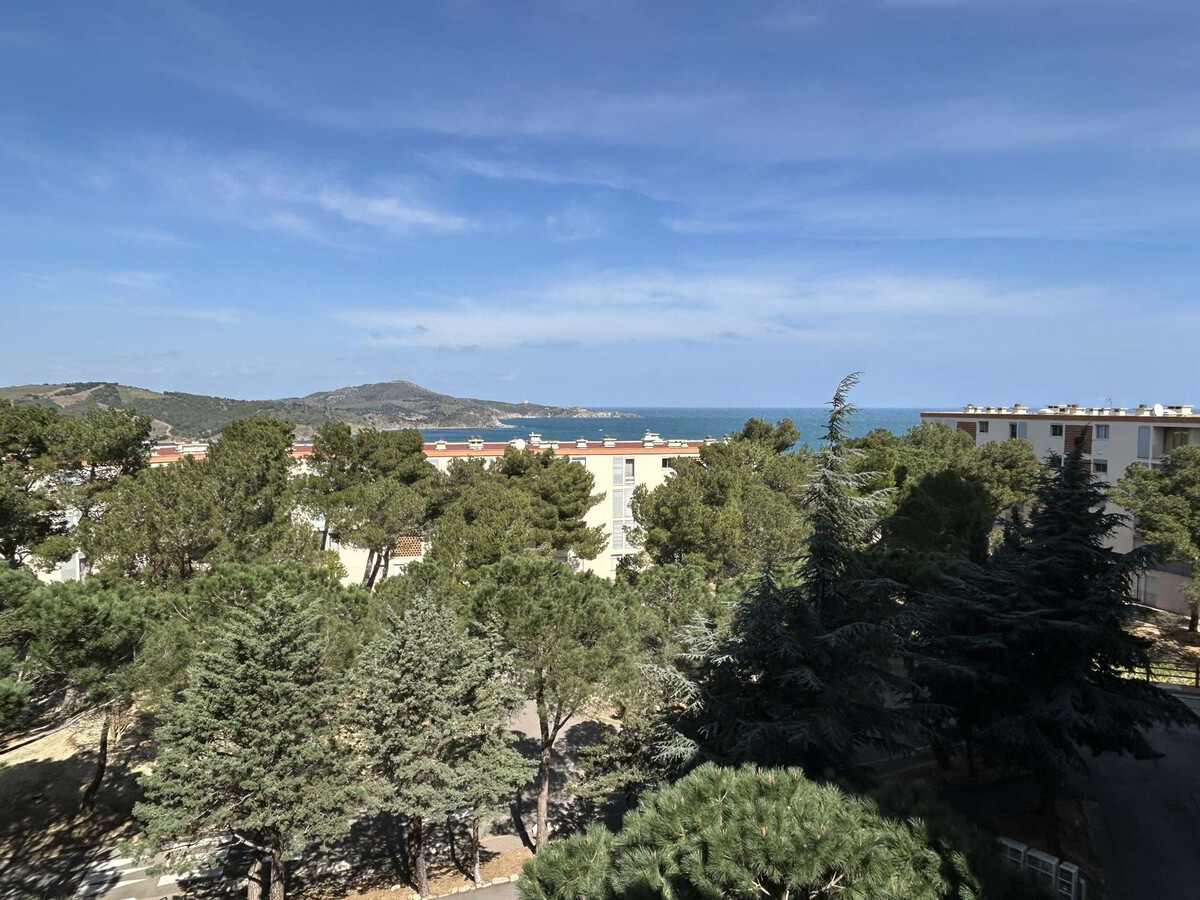 Studio cabine vue mer à Banyuls-sur-Mer, 4 personnes - Photo 16