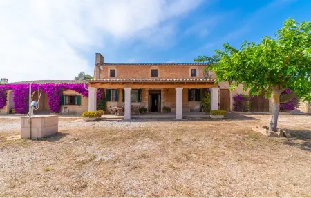 Sa Clota Nova, finca majorquine avec piscine à Felanitx : photo 2