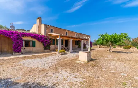 Sa Clota Nova, finca majorquine avec piscine à Felanitx : photo 18