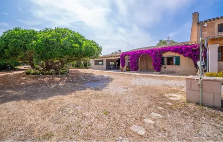 Sa Clota Nova, finca majorquine avec piscine à Felanitx : photo 20