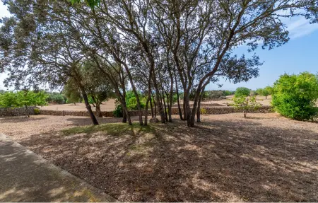 Sa Clota Nova, finca majorquine avec piscine à Felanitx : photo 27