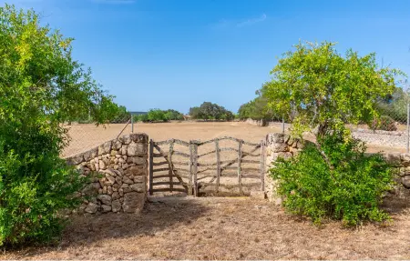Sa Clota Nova, finca majorquine avec piscine à Felanitx : photo 28