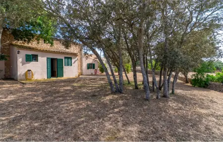 Sa Clota Nova, finca majorquine avec piscine à Felanitx : photo 29