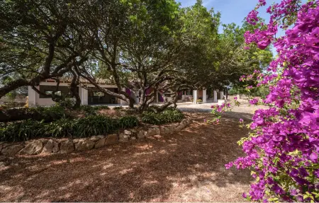 Sa Clota Nova, finca majorquine avec piscine à Felanitx : photo 30