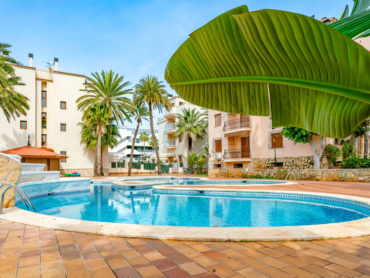 Essence, petit appartement 2 pièces à 280 m de la plage - Photo 22