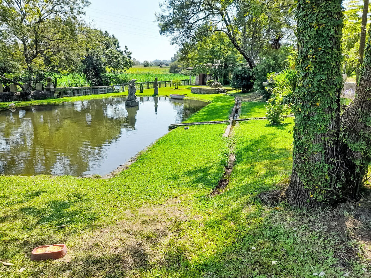 Quinta d'Azenha – Gîte 6 pers. piscine & lagune - Photo 21