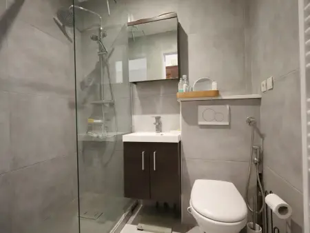 Studio 31 m² 4 pers aux Houches, 350 m des pistes : photo 6