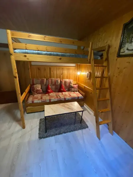 Studio 18 m² à La Bresse, cuisine équipée et accès montagne : photo 4