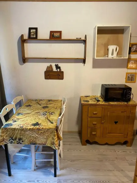 Studio 18 m² à La Bresse, cuisine équipée et accès montagne : photo 5