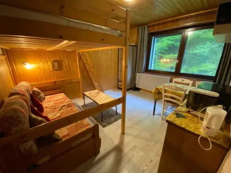 Studio 18 m² à La Bresse, cuisine équipée et accès montagne : photo 10