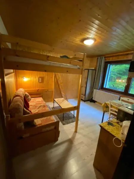 Studio 18 m² à La Bresse, cuisine équipée et accès montagne : photo 12